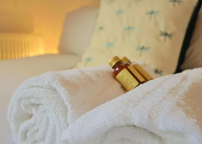 Hotwells Spacious Flat Sleeps Three *